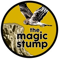 THE MAGIC STUMP: A New Birding Documentary